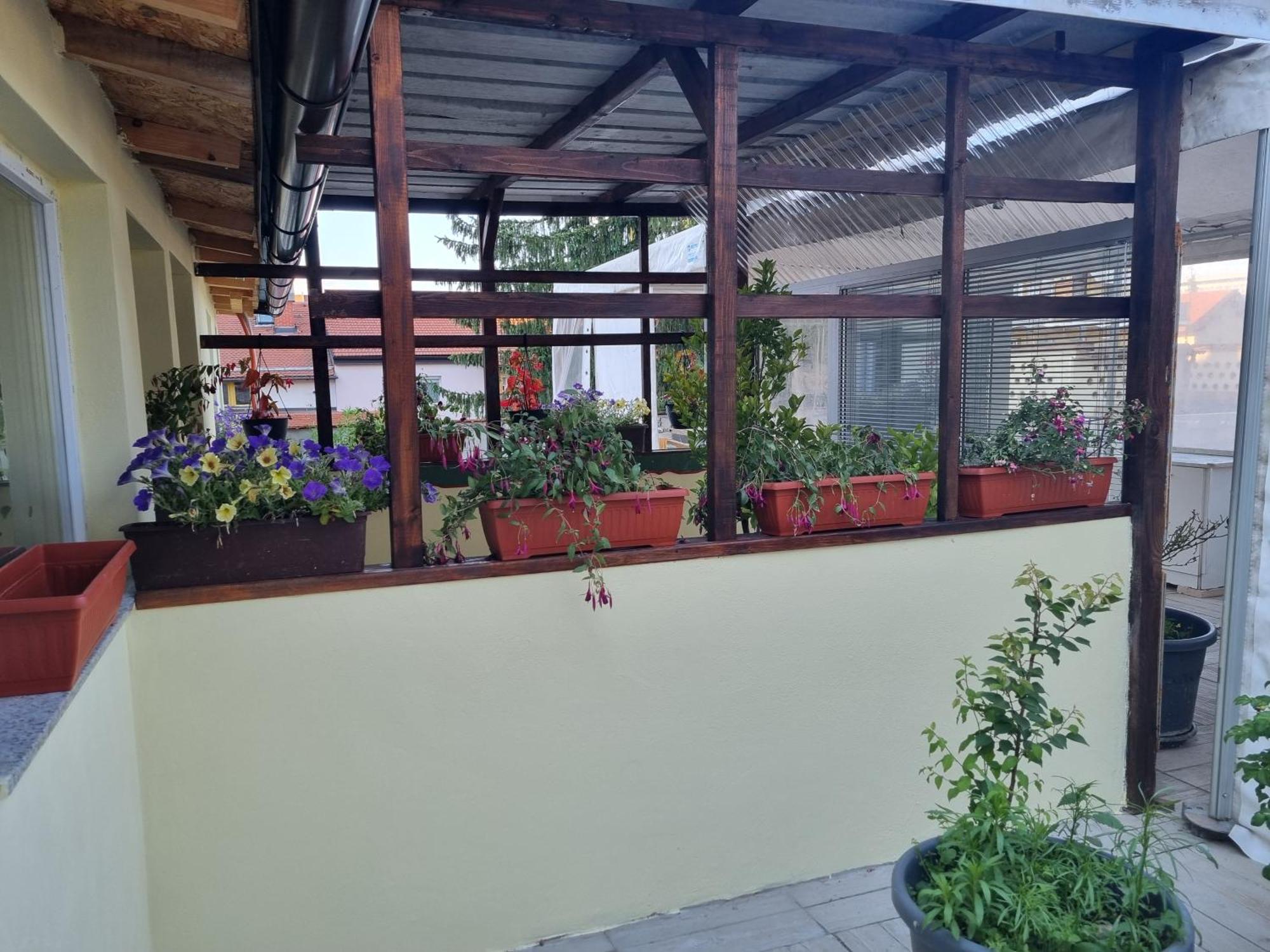צליה Apartments Fazarinc S Parkiriscem מראה חיצוני תמונה